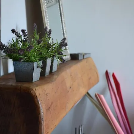 Irene's Villas * Ándros