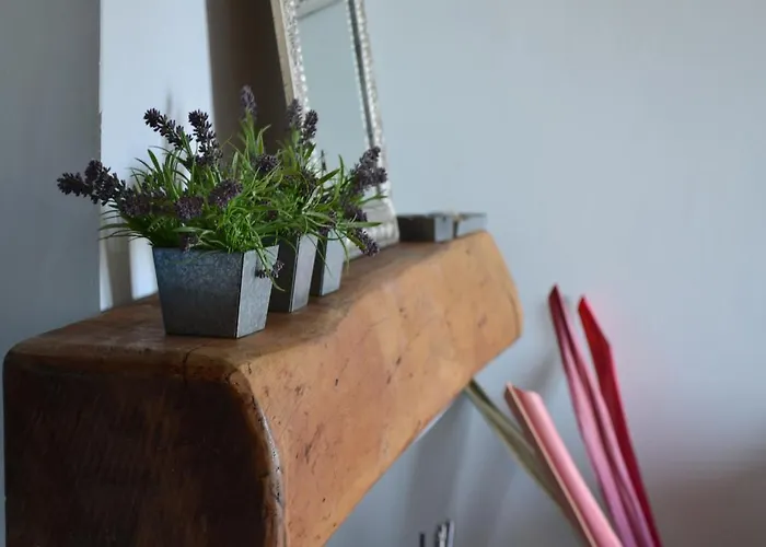 Irene's Villas * Ándros