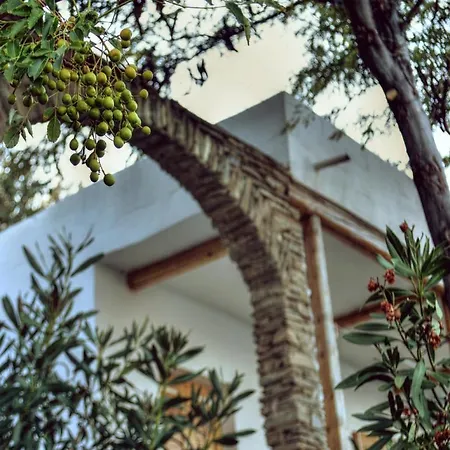 Aparthotel Irene's Villas Andros Town