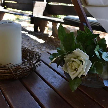 Irene's Villas Andros Town