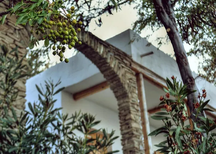 Lägenhetshotell Irene's Villas Ándros